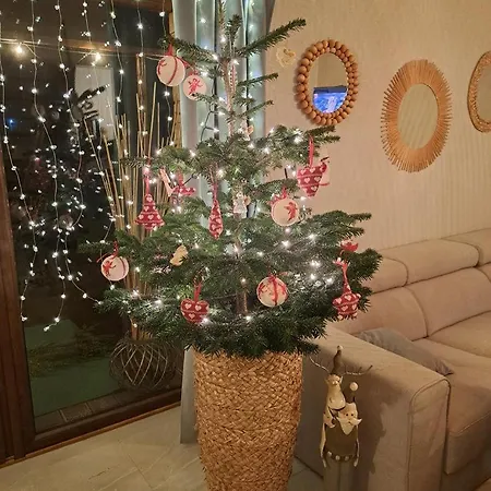 Pogodnawilla ミエルノ