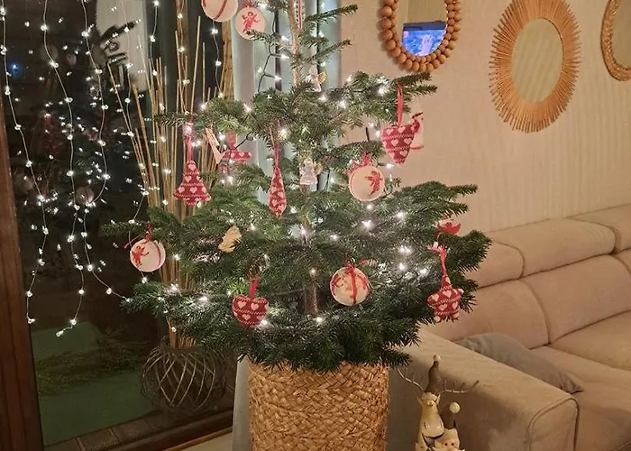 Pogodnawilla ミエルノ